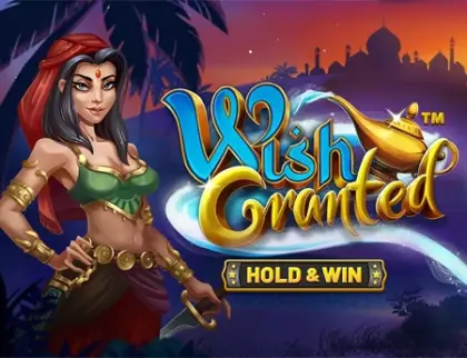 Wish Granted