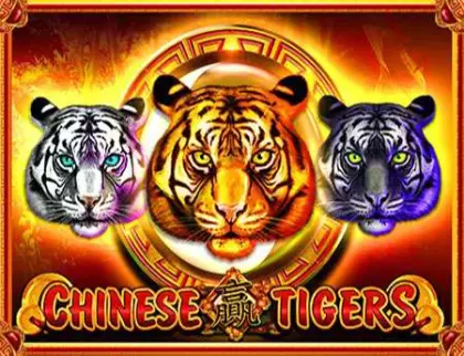 Chinese Tigers